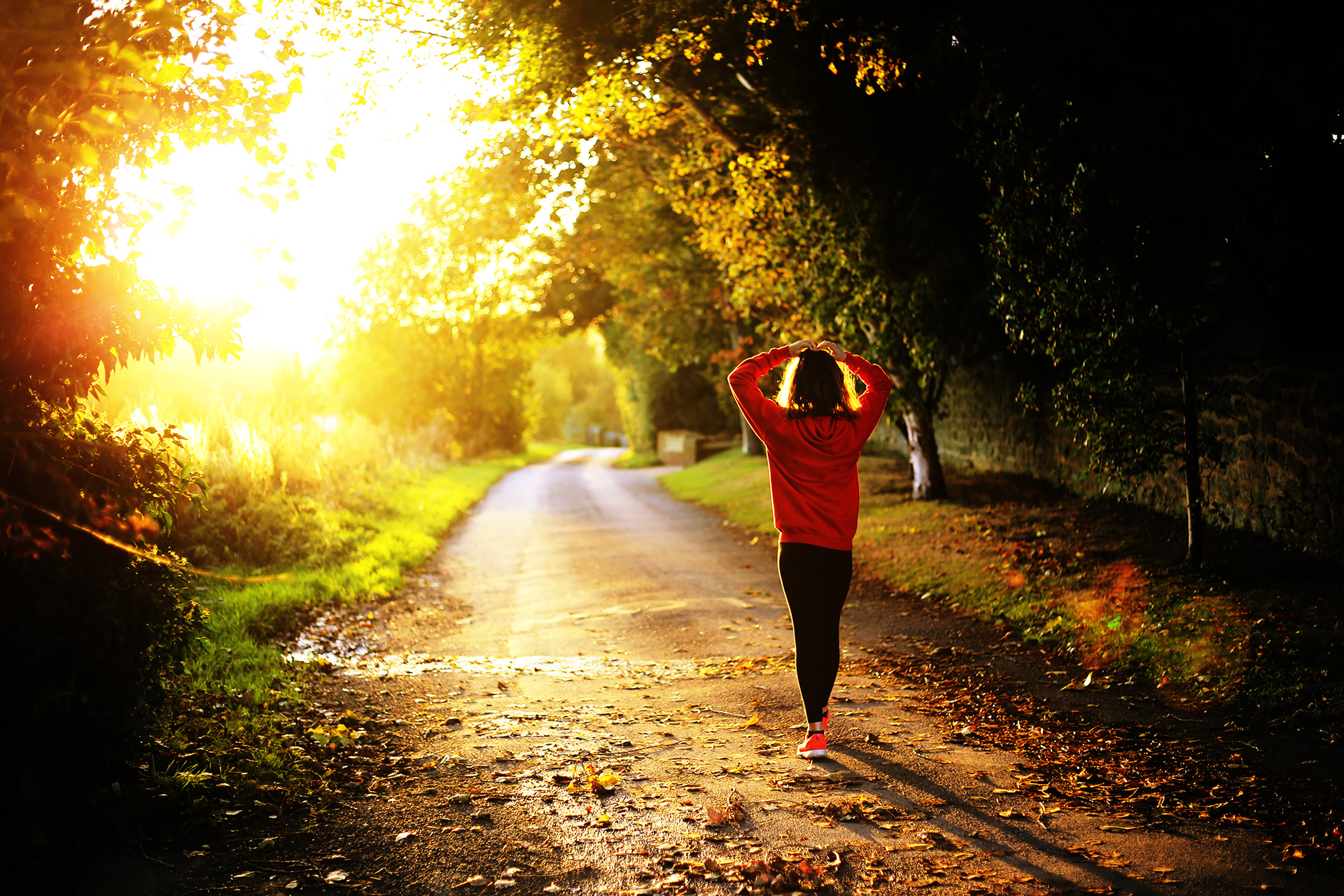 Weiterbildung Sportmanagement und Gesundheitsmanagement