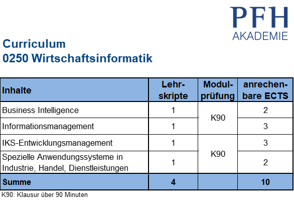 Curriculum Wirtschaftsinformatik